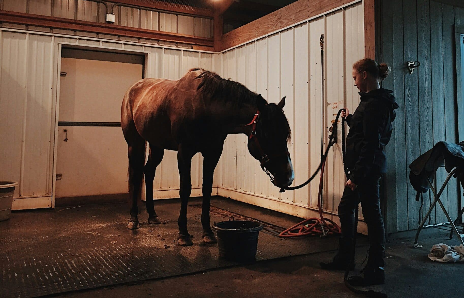 A woman stands next to a brown horse in a stable wash stall, holding its lead rope. The stall is lit warmly, and a saddle rests nearby on a rack.